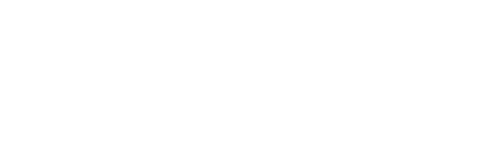 KoinsYa Logo